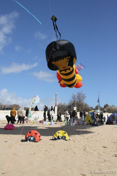 Festival Cerfs Volants Chatelaillon 2010_018.JPG